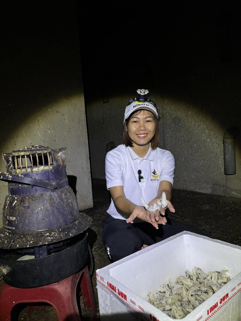 Chứng nhận chất lượng tổ yến nguyên chất