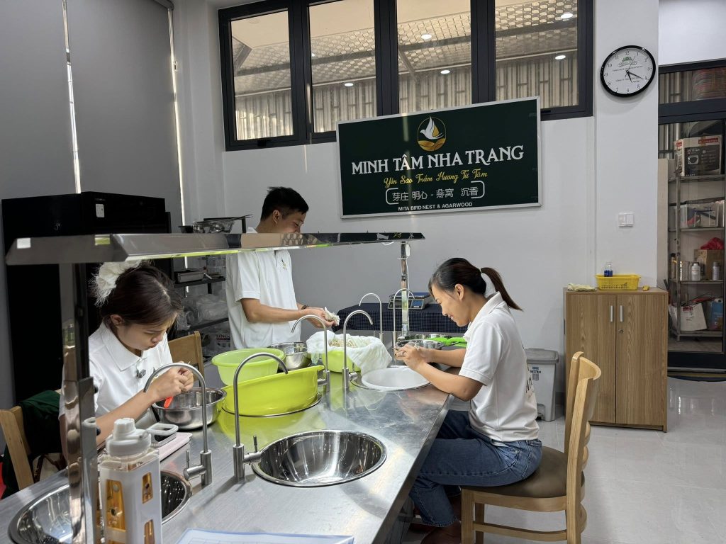 Tổ yến nguyên chất Khánh Hòa Minh Tâm Nha Trang