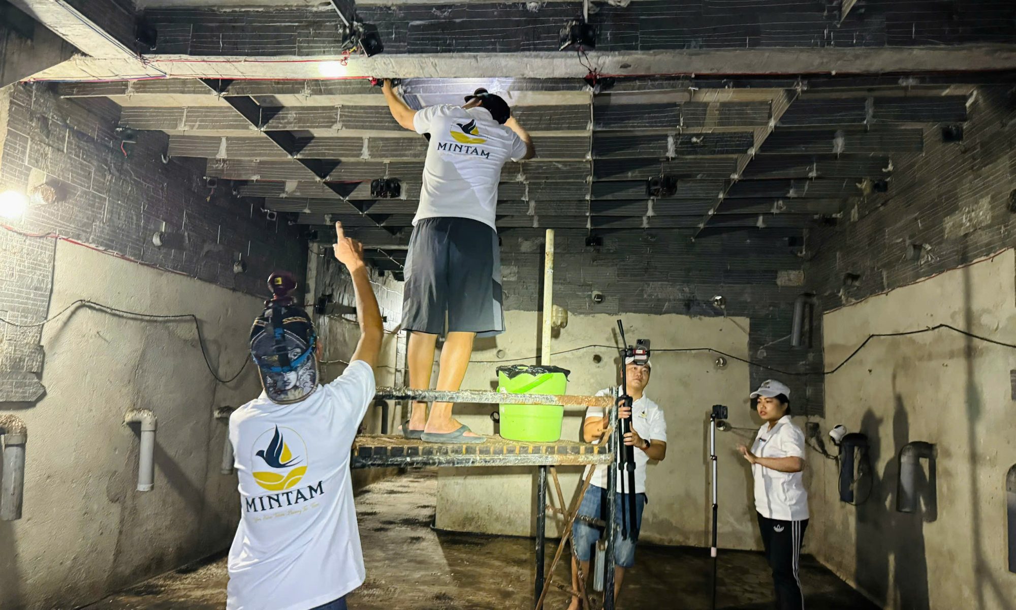 Khai thác tổ yến tại nhà yến Khánh Hòa của Yến Sào Minh Tâm Nha Trang