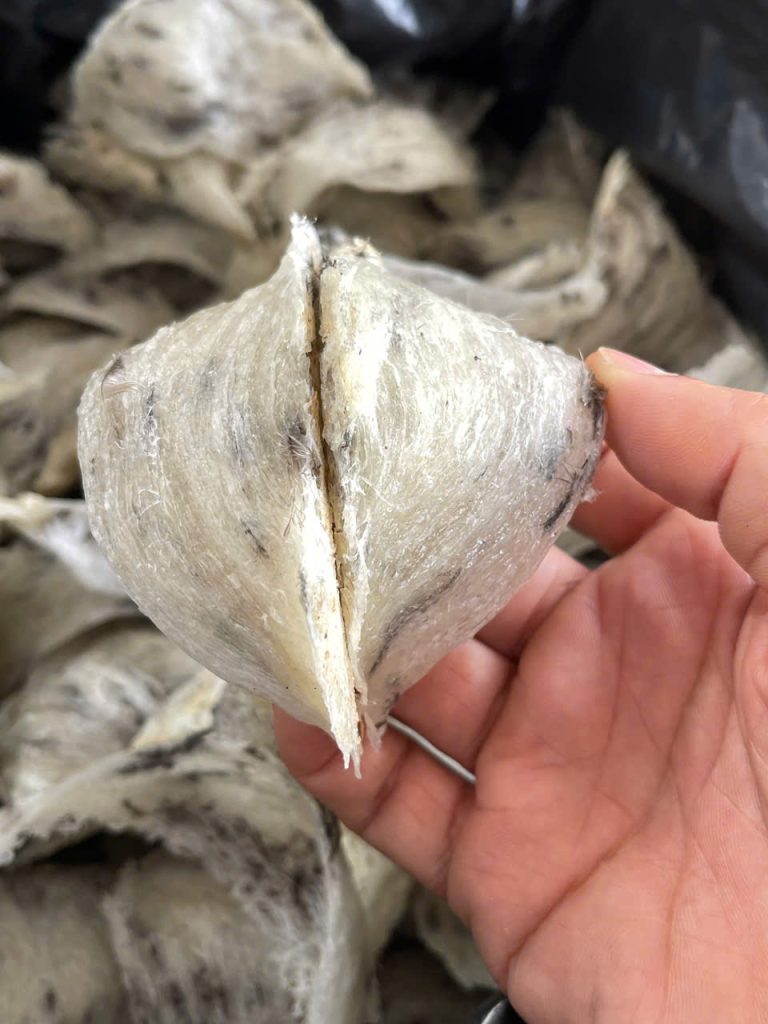 Thành phần dinh dưỡng trong tổ yến cho người cao tuổi