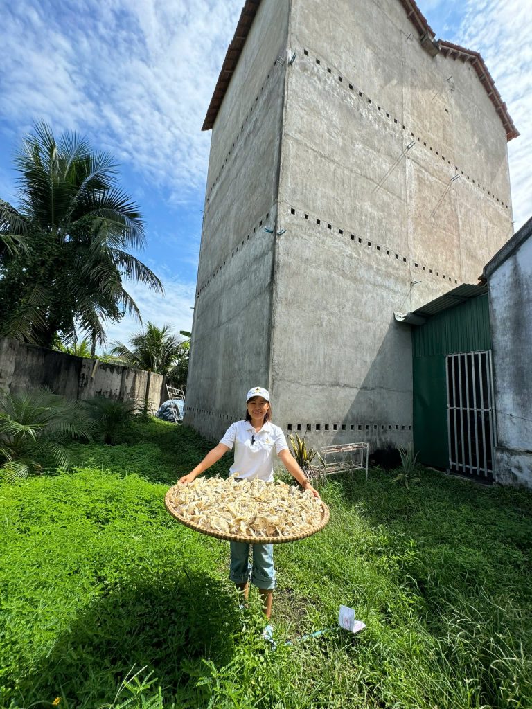 Nên chọn yến trắng hay yến hồng
