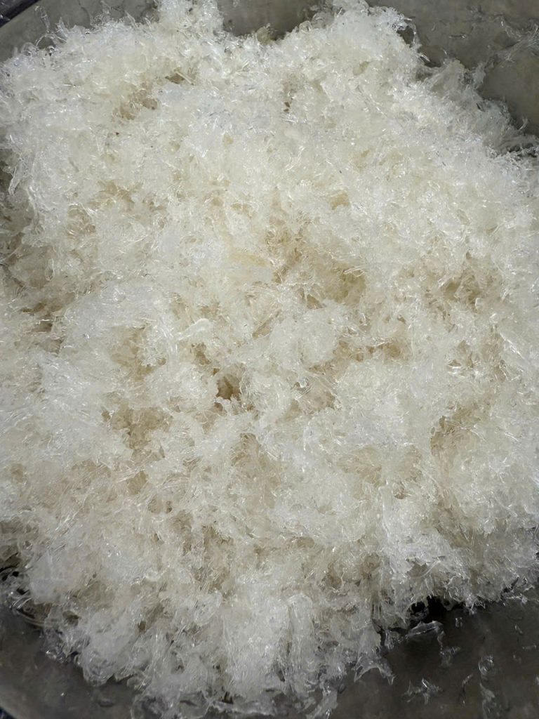 Protein trong yến có gì đặc biệt so với protein thịt và sữa