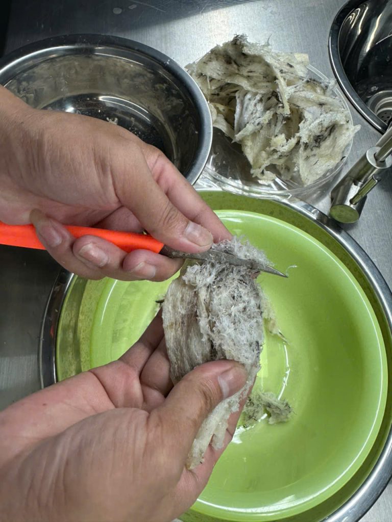 Làm sạch tổ yến thủ công không tẩy trắng